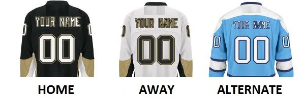 (image for) PITTSBURGH Pro Hockey Number Kit